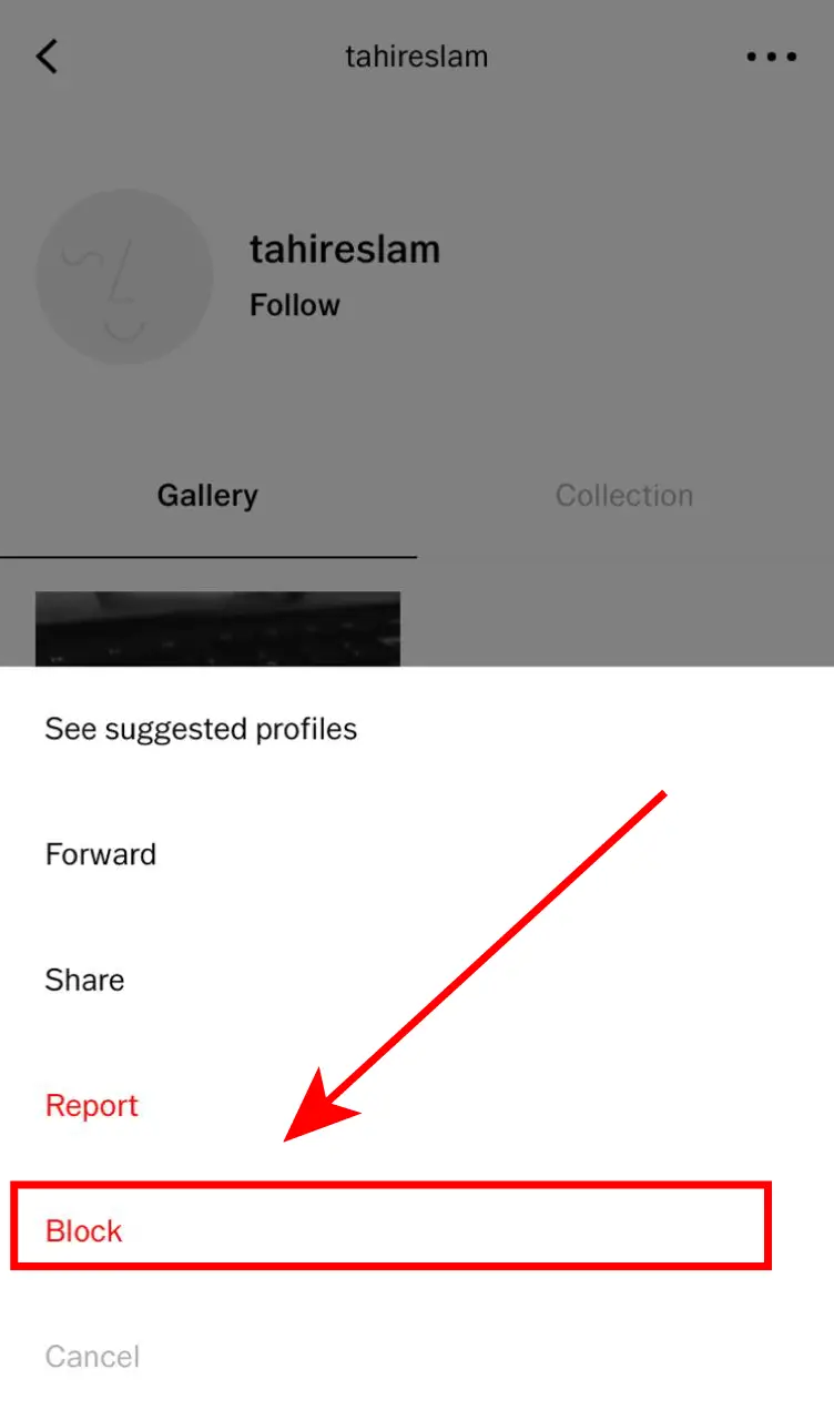 Does VSCO Notify Screenshots [Easy Explained with Visual] fixdab